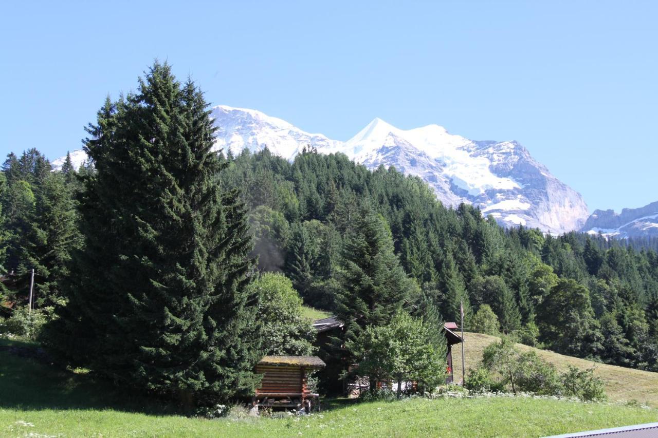 Staubbachbaenkli Apartment Wengen Bagian luar foto