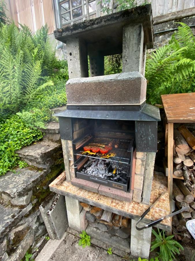 Staubbachbaenkli Apartment Wengen Bagian luar foto