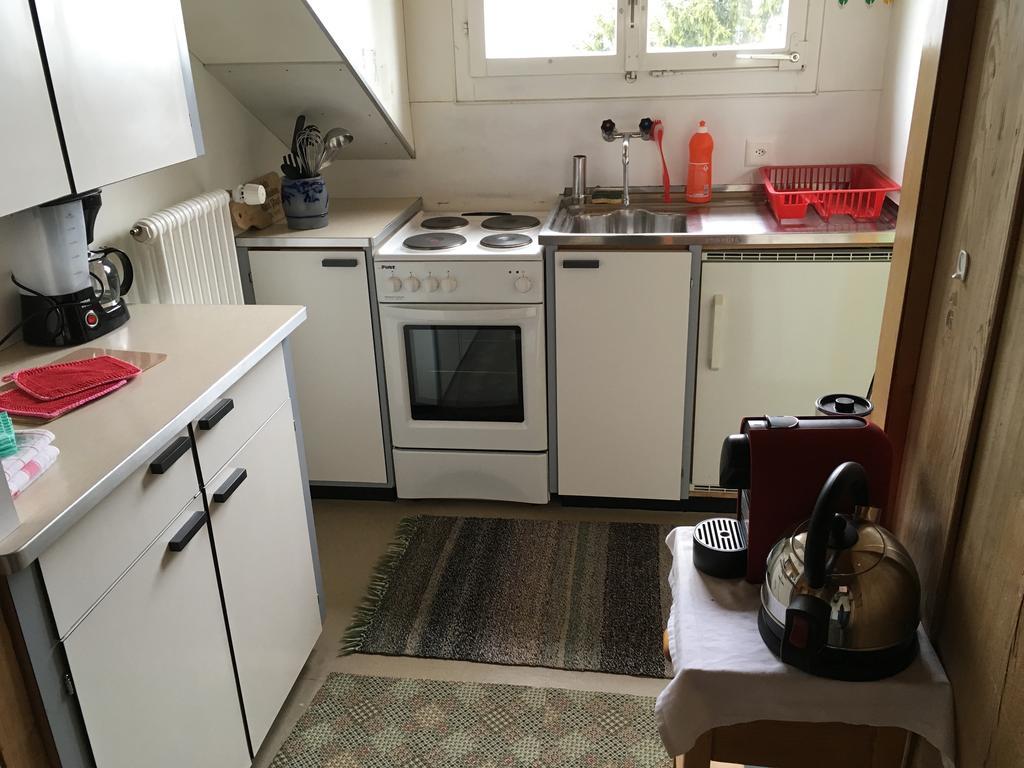 Staubbachbaenkli Apartment Wengen Bagian luar foto