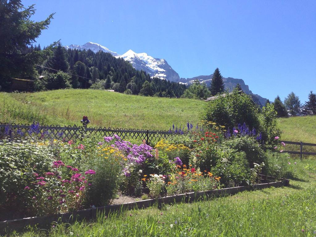 Staubbachbaenkli Apartment Wengen Bagian luar foto