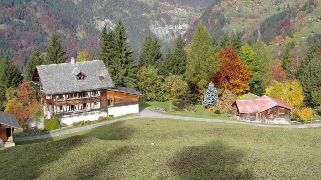 Staubbachbaenkli Apartment Wengen Bagian luar foto