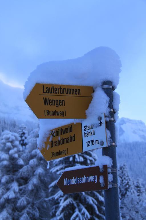 Staubbachbaenkli Apartment Wengen Bagian luar foto