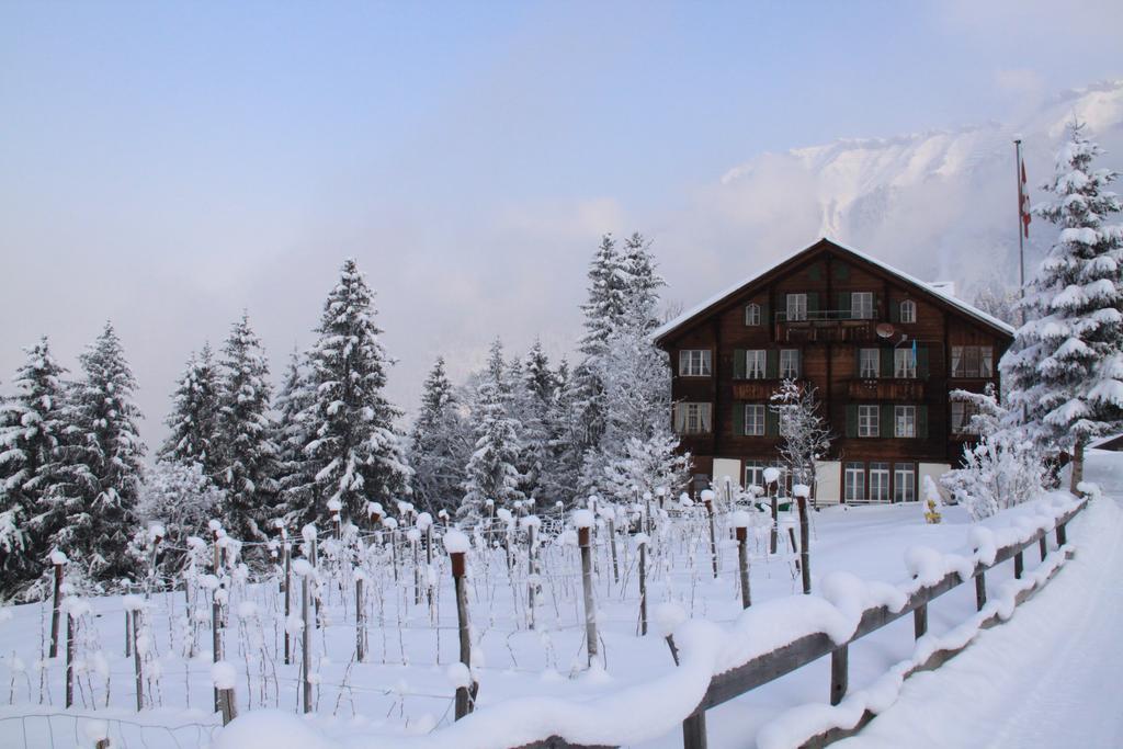 Staubbachbaenkli Apartment Wengen Bagian luar foto